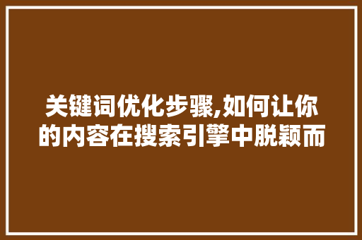 关键词优化步骤,如何让你的内容在搜索引擎中脱颖而出