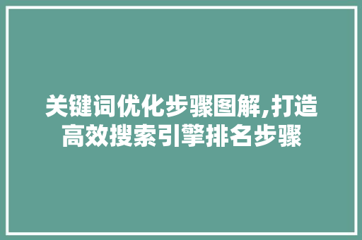 关键词优化步骤图解,打造高效搜索引擎排名步骤