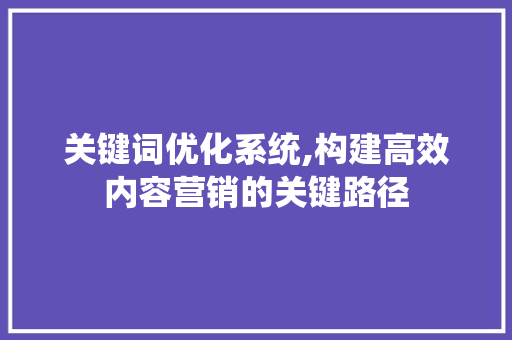 关键词优化系统,构建高效内容营销的关键路径