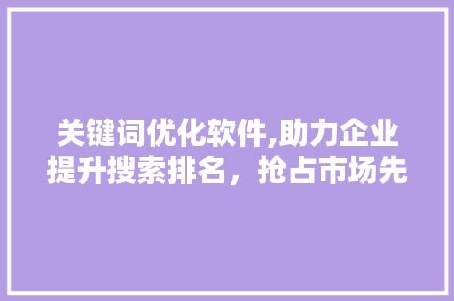 关键词优化软件,助力企业提升搜索排名，抢占市场先机