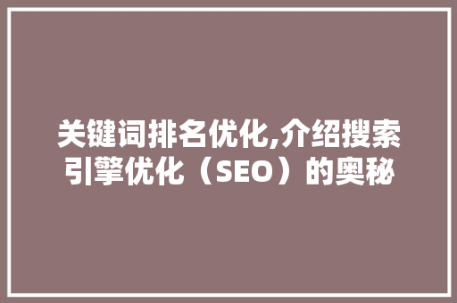 关键词排名优化,介绍搜索引擎优化（SEO）的奥秘
