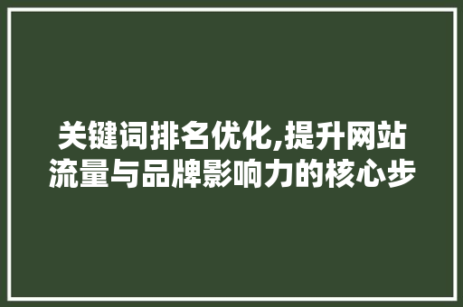 关键词排名优化,提升网站流量与品牌影响力的核心步骤