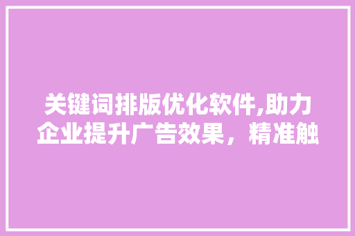 关键词排版优化软件,助力企业提升广告效果，精准触达目标用户