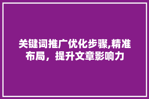 关键词推广优化步骤,精准布局，提升文章影响力