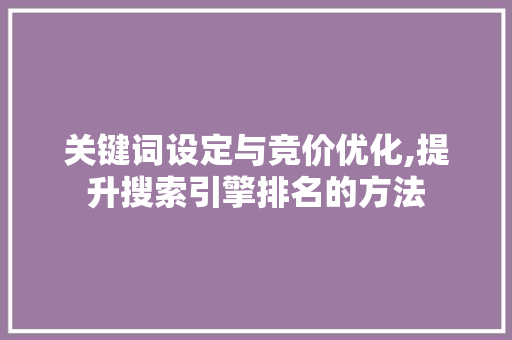 关键词设定与竞价优化,提升搜索引擎排名的方法