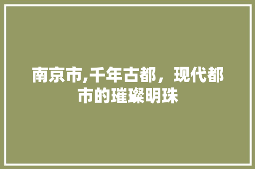 南京市,千年古都，现代都市的璀璨明珠