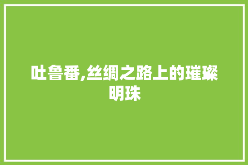 吐鲁番,丝绸之路上的璀璨明珠