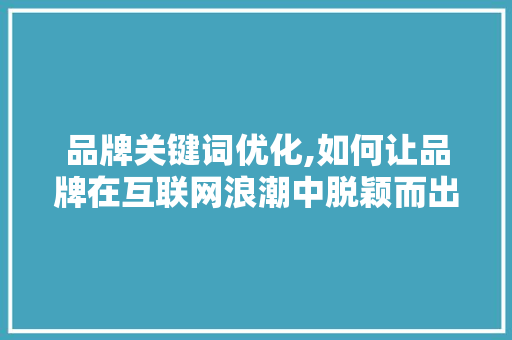 品牌关键词优化,如何让品牌在互联网浪潮中脱颖而出