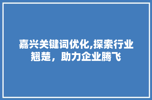 嘉兴关键词优化,探索行业翘楚，助力企业腾飞