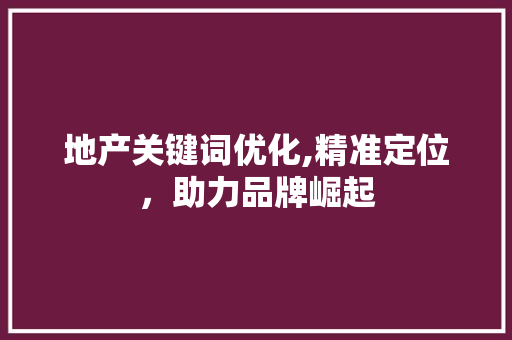 地产关键词优化,精准定位，助力品牌崛起