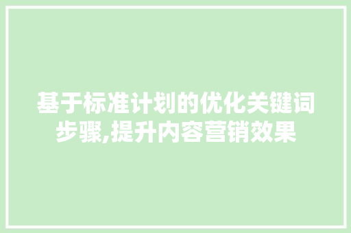 基于标准计划的优化关键词步骤,提升内容营销效果