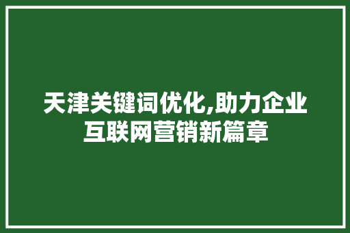 天津关键词优化,助力企业互联网营销新篇章