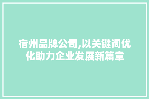 宿州品牌公司,以关键词优化助力企业发展新篇章