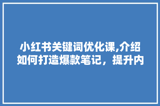 小红书关键词优化课,介绍如何打造爆款笔记，提升内容传播力