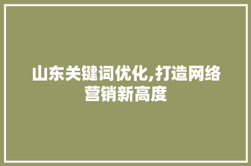 山东关键词优化,打造网络营销新高度