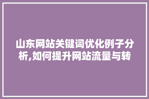 山东网站关键词优化例子分析,如何提升网站流量与转化率