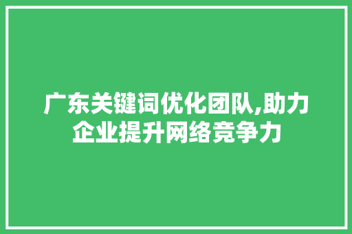 广东关键词优化团队,助力企业提升网络竞争力