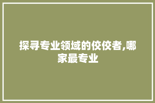 探寻专业领域的佼佼者,哪家最专业