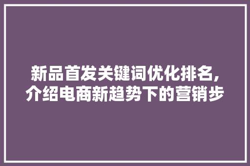 新品首发关键词优化排名,介绍电商新趋势下的营销步骤