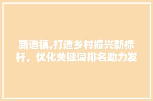 新造镇,打造乡村振兴新标杆，优化关键词排名助力发展