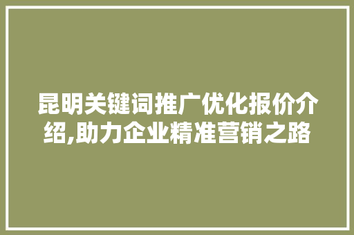 昆明关键词推广优化报价介绍,助力企业精准营销之路