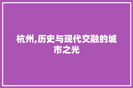 杭州,历史与现代交融的城市之光