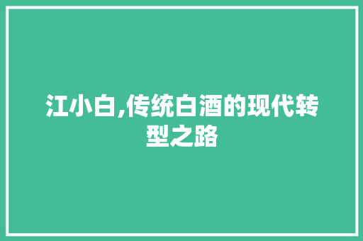 江小白,传统白酒的现代转型之路