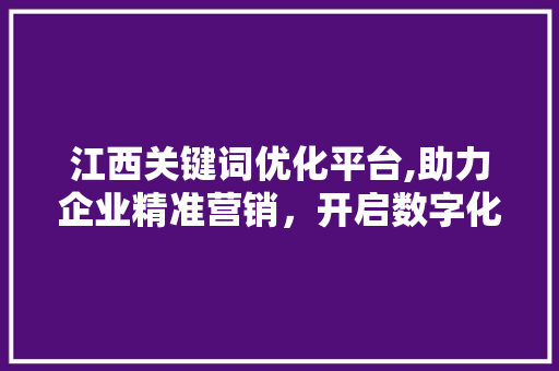 江西关键词优化平台,助力企业精准营销，开启数字化新时代