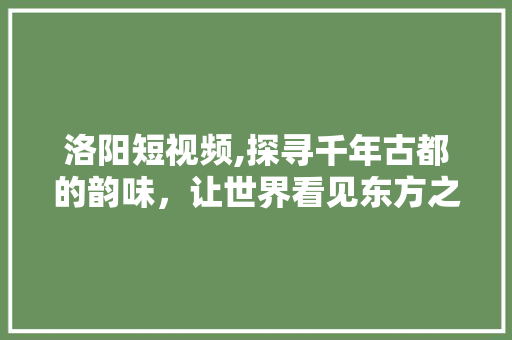 洛阳短视频,探寻千年古都的韵味，让世界看见东方之美