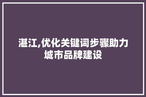 湛江,优化关键词步骤助力城市品牌建设