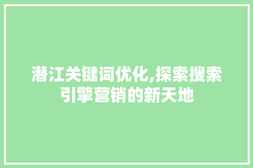潜江关键词优化,探索搜索引擎营销的新天地