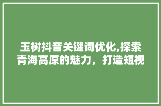 玉树抖音关键词优化,探索青海高原的魅力，打造短视频传播新格局