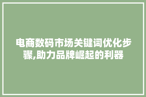 电商数码市场关键词优化步骤,助力品牌崛起的利器