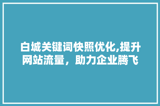 白城关键词快照优化,提升网站流量，助力企业腾飞