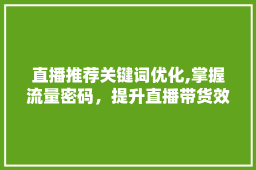 直播推荐关键词优化,掌握流量密码，提升直播带货效果