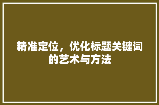 精准定位，优化标题关键词的艺术与方法