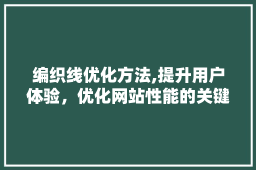 编织线优化方法,提升用户体验，优化网站性能的关键路径