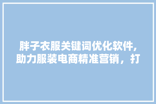 胖子衣服关键词优化软件,助力服装电商精准营销，打造个性化购物体验