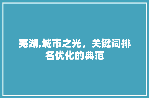 芜湖,城市之光，关键词排名优化的典范
