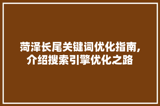 菏泽长尾关键词优化指南,介绍搜索引擎优化之路