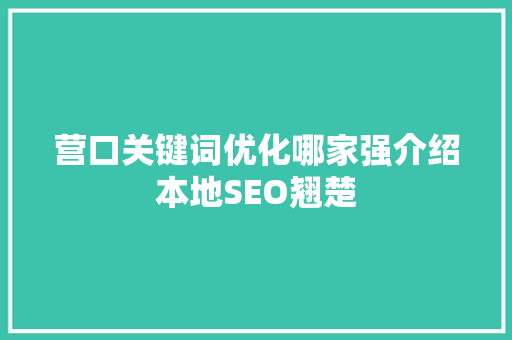 营口关键词优化哪家强介绍本地SEO翘楚