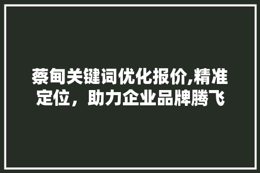 蔡甸关键词优化报价,精准定位，助力企业品牌腾飞