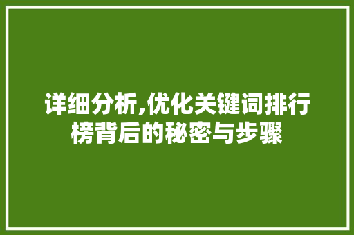 详细分析,优化关键词排行榜背后的秘密与步骤