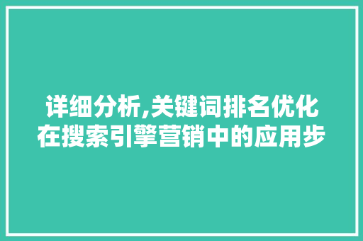详细分析,关键词排名优化在搜索引擎营销中的应用步骤