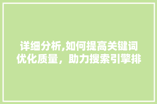 详细分析,如何提高关键词优化质量，助力搜索引擎排名