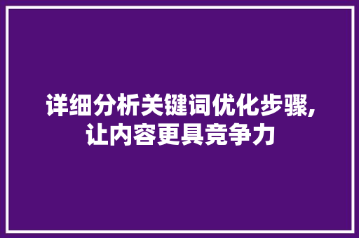 详细分析关键词优化步骤,让内容更具竞争力