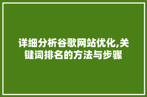 详细分析谷歌网站优化,关键词排名的方法与步骤