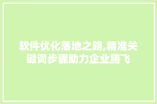 软件优化落地之路,精准关键词步骤助力企业腾飞