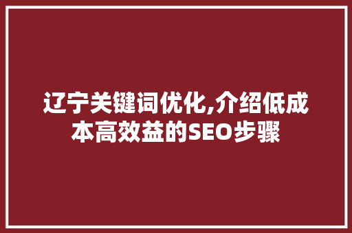 辽宁关键词优化,介绍低成本高效益的SEO步骤