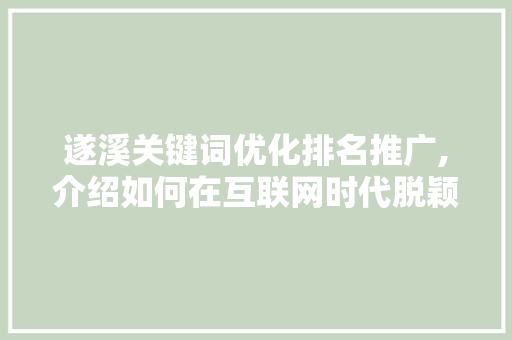 遂溪关键词优化排名推广,介绍如何在互联网时代脱颖而出